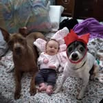 Alanna Cara Bobbitt - @dexterlovestaz - Instagram