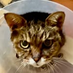 dexter - @dexter_loves_me - Instagram