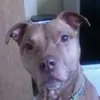 dexterfloweryhobb - @dexter.f.loweryho - TikTok