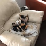 Dexter Lum - @lumdexter - Instagram
