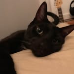 Dexter Lum - @echodex808 - Instagram
