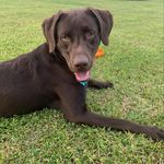 @_dexter.lynn_ - Instagram