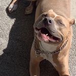Dexter Lynn - @dexterlynng - Instagram