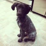 Dexter Mabery - @dexter_the_goat - Instagram