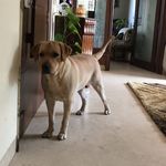 Dexter Macker - @dexter.macker - Instagram