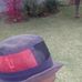 Malum Dester - Facebook