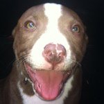 Dexter Malone - @dextermalone - Instagram