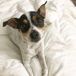 Dexter Malone - @dexter.malone - Instagram