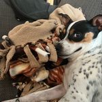 Dexter Malone - @mr.dextermalone - Instagram