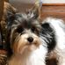Dexter Malone Designs, LLC - Facebook