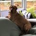 Dexter Manning - Facebook