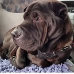 Dexter Curran-marsh - @curranmarshdexter - Instagram