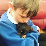 Dexter Marsh - @marshmello_2408 - Instagram