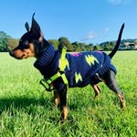 Dexter Marsh - @dexterminpin21 - Instagram