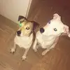Marsh&dex🐾😍 - @marshalldexter01 - TikTok