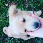 Dexter martinez - @dexter_martinez101 - Instagram