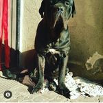 Dexter_.Martinez_ - @dexter_.martinez_ - Instagram