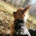 Dexter Mathias - Facebook