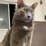 Dexter Mayhew - @dexte.rmayhew - Instagram