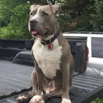 Dexter Mayo - @thisis_dex_ - Instagram
