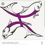 Dexter Mcclendon - @dextermcclendon - Instagram