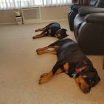 Dexter S. McConnell - @dexters.mcconnell7 - Instagram