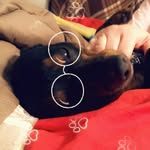 Dexter - @dexter.mccray451 - Instagram