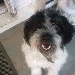 Dexter Mccray - Facebook