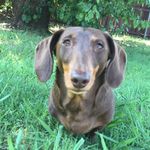 Dexter McDaniel - @_dexter_mcdaniel_ - Instagram