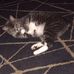 Dextor McVay - Facebook