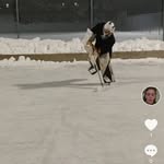 dexter mclaughlin - @dextex.m - Instagram