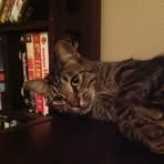 Dexter Mclendon - Facebook
