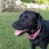 dextermead617 - @dextermead617 - TikTok