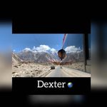 Dexter👨‍🔬 - @dexter_meadow - Instagram