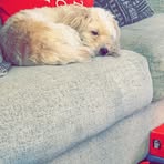 Dexter Meeks - Facebook