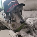 Dexter Messer - Facebook