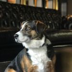 Dexter J. Broadway-Mooney - @dexeffex - Instagram