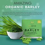 IAM Amazing Pure Organic Barley by: Dexter Amatos Morales - Facebook