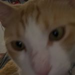 Dexter Moreno - @dexter0719 - Instagram