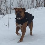 Dexter_moss - @dexter_moss - Instagram