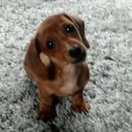 Dexter Mueller - Facebook