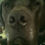 Dexter Mueller - Facebook