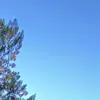 dexter_mullen617 - @dexter_mullen617 - TikTok