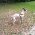 Dexter Mullen - @dextermullen23 - Instagram