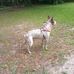 Dexter Mullen - Facebook