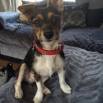 DexterMcMullen - @dextermcmullen - Instagram