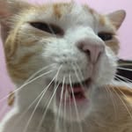 Dexter Muniz - @dextermuniz - Instagram
