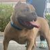 Dexter Murray - Facebook