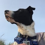 Dexter Newman - @mainmandexter - Instagram