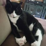 Schrodinger_Dexter_Newton - @schrodinger_dexter_newton - Instagram